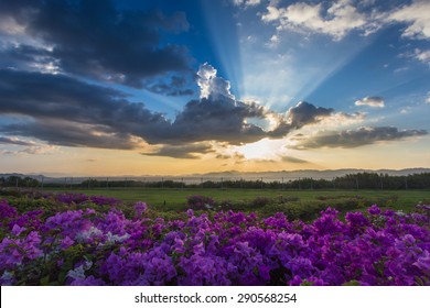 Sun Shining Through The Clouds