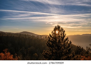 Sun shining through conifer tree over misty forested hills at sunset near Brasov, Romania