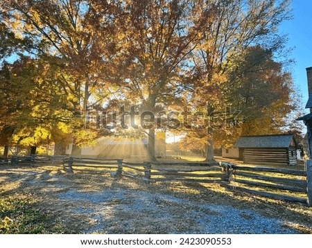 Sun shining through fall foliage at Tipton Hayes Historic Site in Johnson City, Tennessee