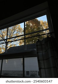 Sun Shining Through Fall Trees Over Home