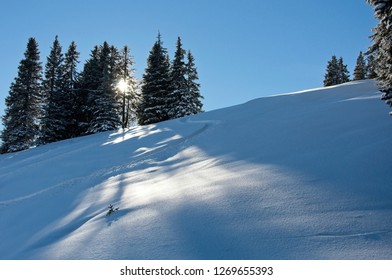 The sun shining through a group of trees on a beautiful sunny day in the snowy mountains