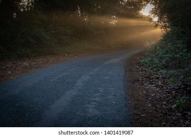 Sun shining through to the lane with mist