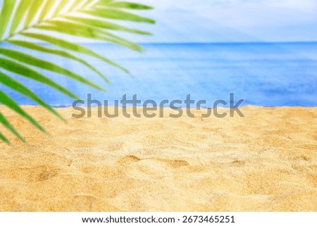 Sun shining through palm leaf on tropical beach. Golden sand and blue sea