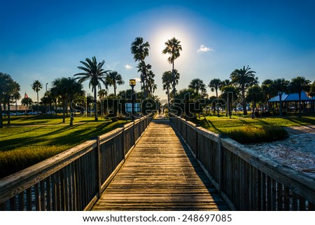 The sun shining through palm trees and a fishing pier in Daytona  Beach, Florida.