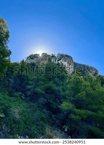 Similar – Image, Stock Photo ray of hope trees Shadow