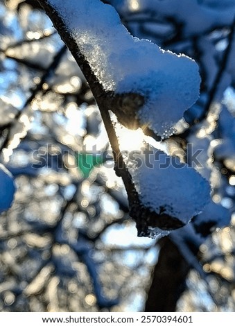 Similar – Image, Stock Photo Off through the center into the green