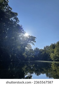 Sun shining through the trees