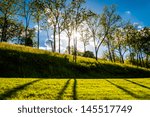 Sun shining through trees and shadows on the grass at Antietam National Battlefield, Maryland (Horizontal).