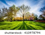 The sun shining through trees at Sherwood Gardens Park, in Baltimore, Maryland.