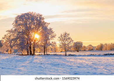 Sun shining through the trees at sunset in a wintery landscape
