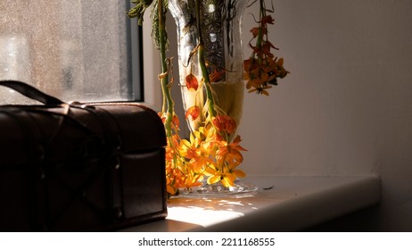 The Sun Shining Through A Window On Dying Flowers