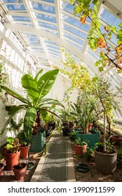 Sun Soaked Greenhouse, Kylemore Abbey