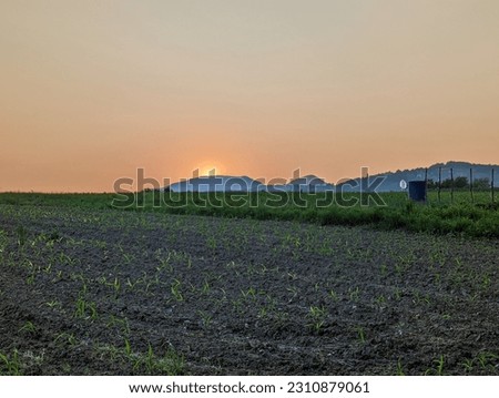 Sun, sunset, nature, arable land, eve