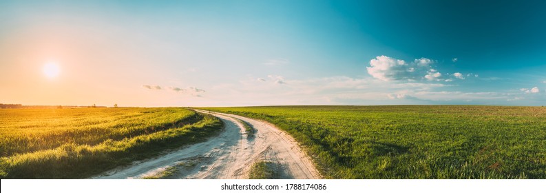 Sun Sunshine In Sunset Bright Sky. Beautiful Evening Sky Above Rural Landscape With Country Road. Young Green Wheat Field Meadow And Countryside Road. Agricultural And Weather Forecast Concept