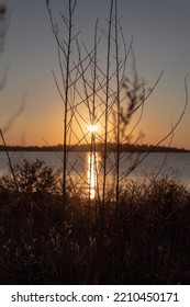 The Sun Through A Branch During A Sunset From The Edge Of A Bay. Hingham, Massachusetts