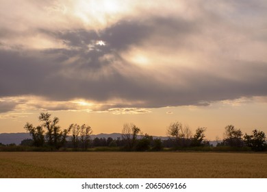 sun through storm clouds over wheat field
