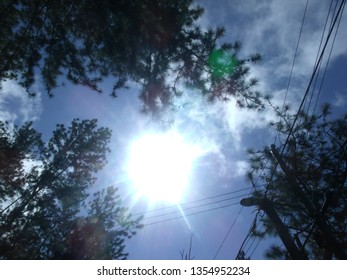 Sun through trees