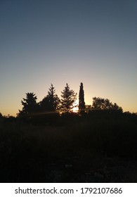 sun try to hide behind trees 