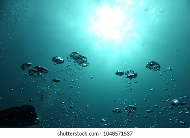 Sun Underwater Bubbles Diver Flippers