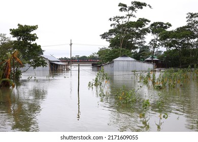 1,300 Disaster in bangladesh Images, Stock Photos & Vectors | Shutterstock