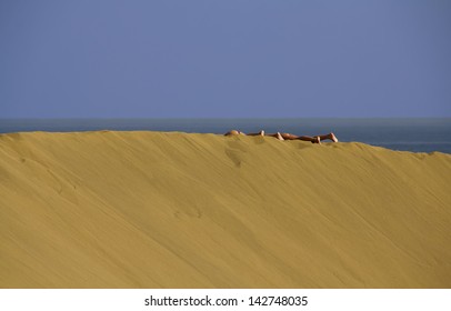 Sunbathers