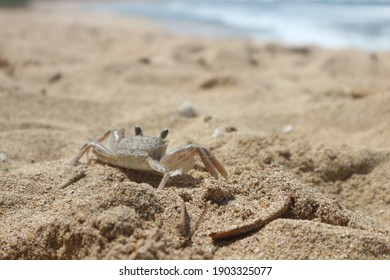 sunbathing on the beach with the waves