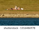 Sunbathing in the park