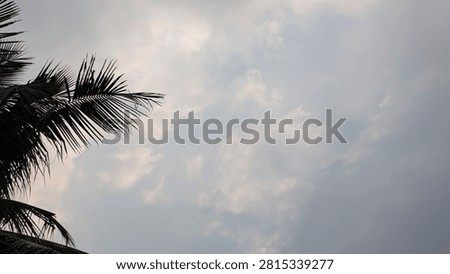 Sunbeams breaking through dark cloudy sky, crepuscular rays of light over tropical palm trees silhouette