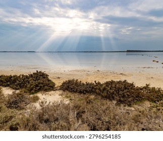 Sunbeams breaking through dramatic clouds over calm salt lake water behind wild coastal shrubs. Beautiful winter landscape view during afternoon daylight, Larnaca, Cyprus.
