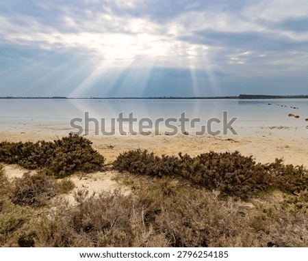 Sunbeams breaking through dramatic clouds over calm salt lake water behind wild coastal shrubs. Beautiful winter landscape view during afternoon daylight, Larnaca, Cyprus.
