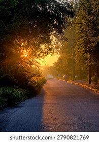 Sunbeams breaking through forest trees onto an empty asphalt road during a dramatic golden hour sunset.
