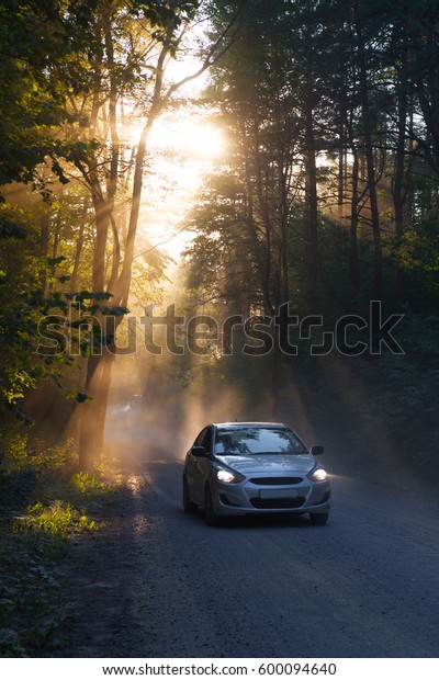 sunbeams in the forest and a car\
