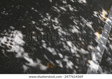 Similar – Image, Stock Photo Shadow of the Tree Summer