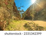 Sunbeams on bush vegetation with eucalyptus and gum tree on dry riverbed of Simpsons Gap in West MacDonnell National Park, Northern Territory, Australia outback near Alice Springs.