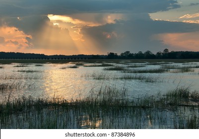 Sunbeams Over A Marsh