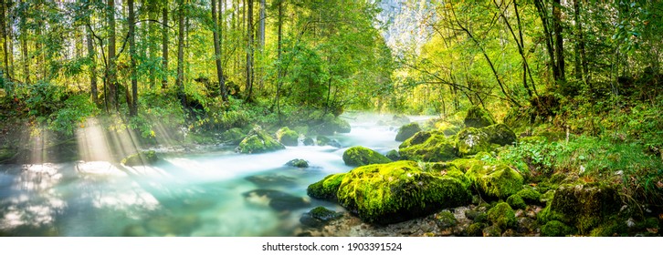 Sunbeams stream panorama in Austria Alps. Long exposure at the wood. Stones and river in the front. Mountain at the Background.