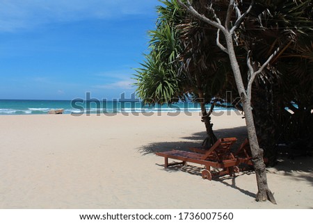 Sunbeds on a paradisiac beach with palm trees in Trincomalee, Sri Lanka