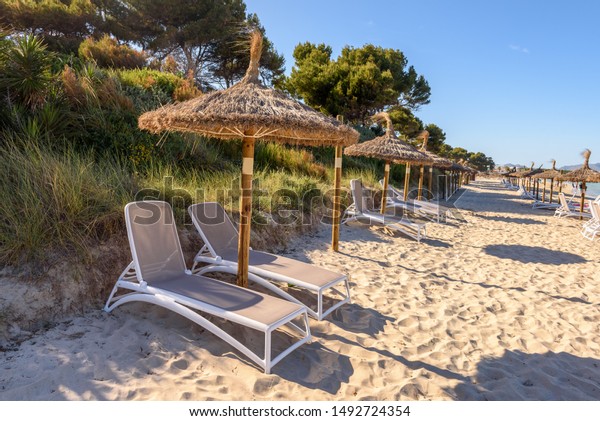 Sunbeds Umbrellas Playa De Muro Beach Stock Photo Edit Now
