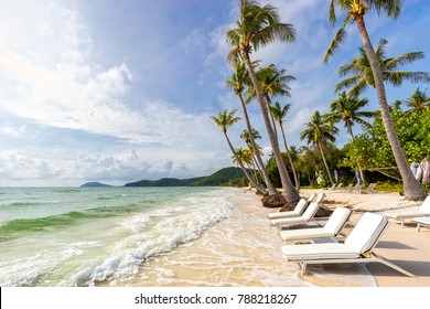 Sunbeds under tropical palm trees on beautiful sandy empty Bai Sao beach with clear water in Vietnam on Phu Quoc island