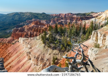 Sun-bleached tree with hoodoos in the background at the Sunset View Overlook, in Cedar Breaks National Monument, in the Dixie National Forest, near Brian Head and Cedar City, Utah.
