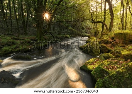 A sunburst through the trees on the banks of the river Fowey as it flows through Golitha Falls a steep wooded valley on the southern edge of Bodmin Moor in Cornwall