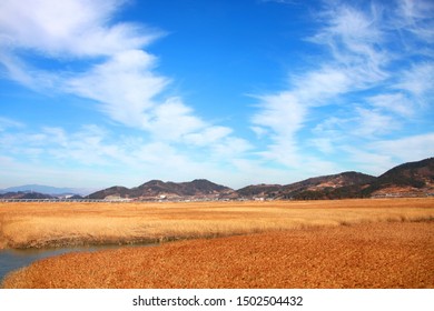 558 Suncheonman Wetlands Images, Stock Photos & Vectors | Shutterstock