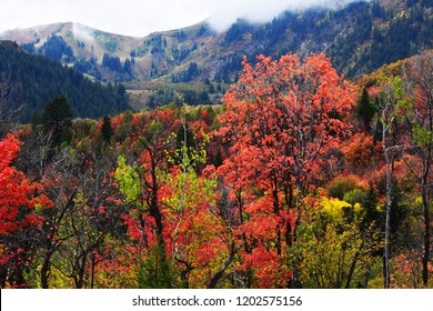 Sundance Mountain Resort In Fall. Fall, Autumn Background.