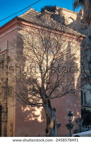 Similar – Frühling in der Stadt