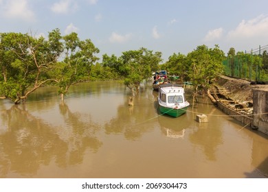 Sundarbans National Park, West Bengal, India