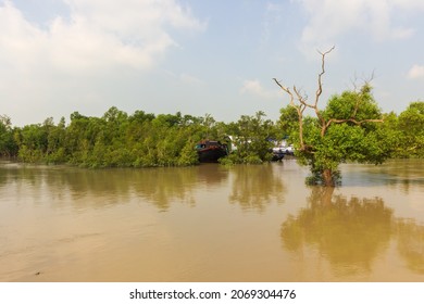 Sundarbans National Park, West Bengal, India