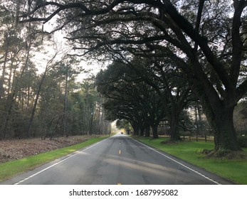 Sunday Drive In Central Florida 