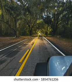 Sunday Drive In The Low Country.