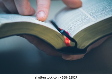Воскресные чтения, Библия