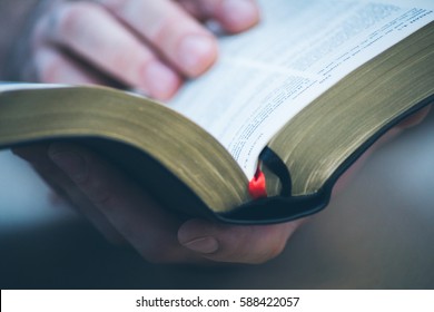 Sunday readings, Bible